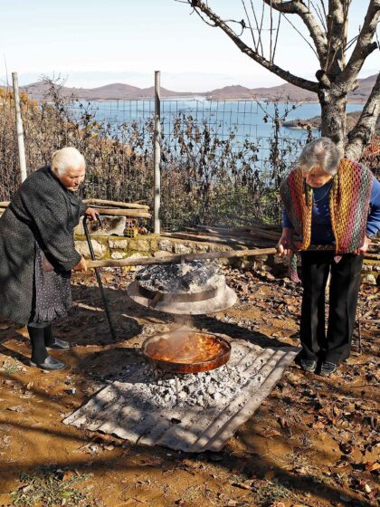 «Ταψί» με χοιρινό και πράσα